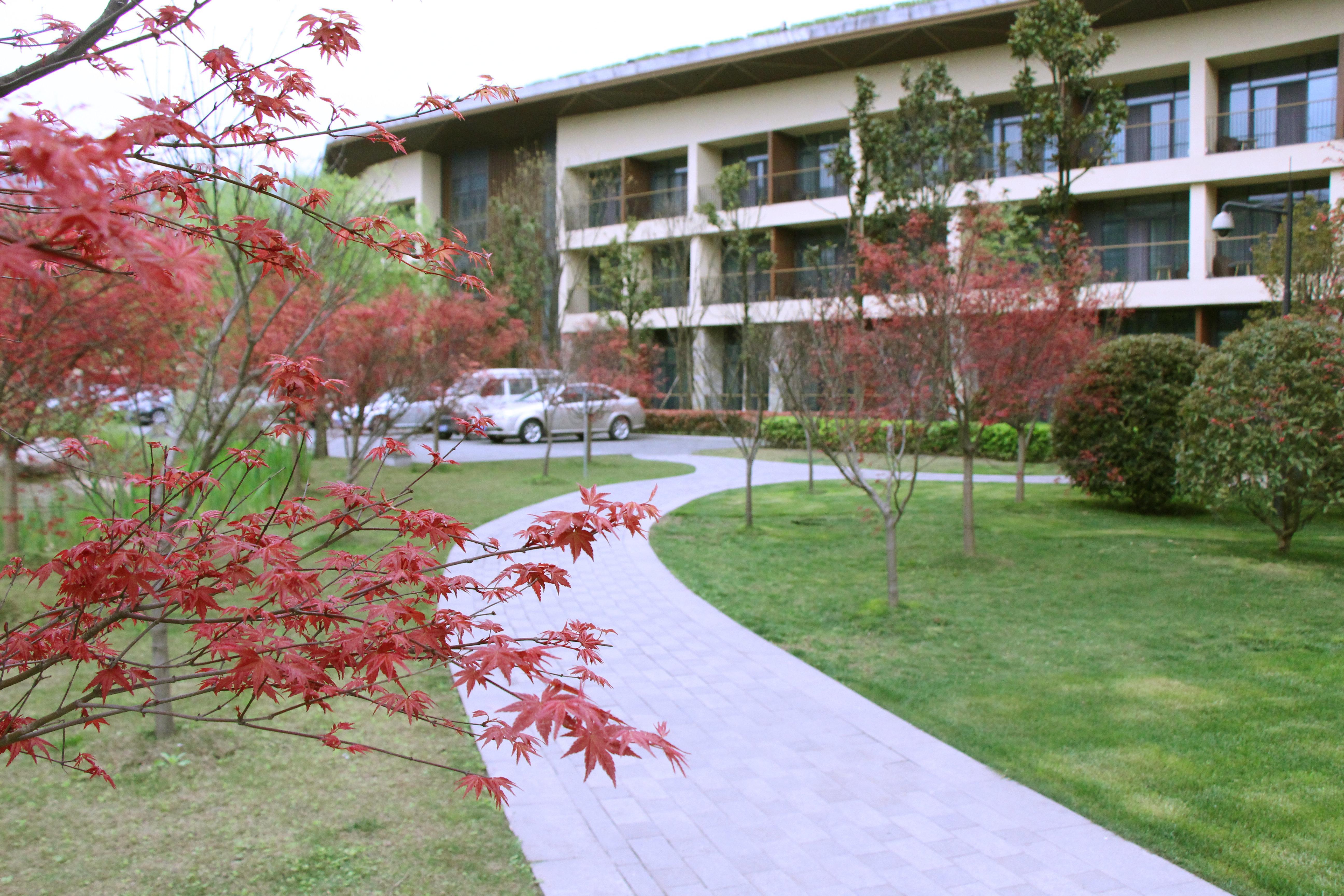 Holiday Inn Express Emei Mountain By Ihg Эмэйшань Экстерьер фото